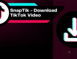 baixar videos com snaptik app